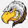 Falcon