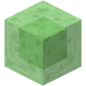 SlimePunch