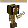 Minions-Addon-Nametag