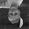 JA1MY's Challenge