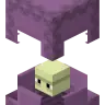 HotShulker