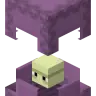 Shulker_PlVs