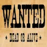 Wanted [1.16.5]