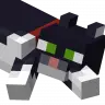 Change Cat Race With Nametags! | [1.16X]
