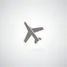 fly