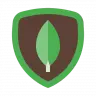 FastMongo (ODM - API) [by 360matt]