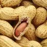 Peanut AntiDupe