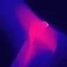 WhatIsThis