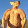 KangarooBot