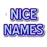 NiceNamesGenerator