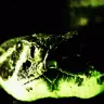 IpGrabber