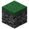 TagsPL