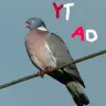 Youtube Advertise Plugin
