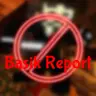 ⭐ BasikReport GUI⭐
