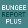 BungeeReportPlus