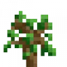 NaturalSaplings