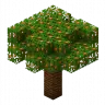 ️️ ⭐️ TropicalSpawn️ ⭐️ | 1.7-1.20