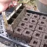 Dirt Pet SKript