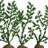 Realistic Plants