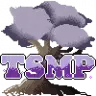 TSMP-TRANSLATION