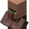No Villager Discount