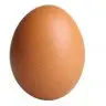 Eggcore