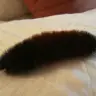 GondalKits
