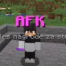 Strefa AFK