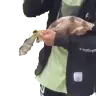 UltraAnnoyingBPlugin