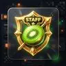 KiwiStaffTool | Ultimate Staff & Moderation Suite [1.20 - 26.1.2.+]