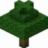 EzTimber