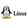 A beautiful and convenient startup script for a Linux server (start.sh )