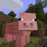 YellowKnifeNameManager - Banned players from entering with bad nicknames!