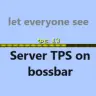 TPS on bossbar