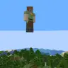 Fly