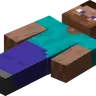 Bodies