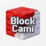 BlockCami