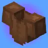 Skin Overlays