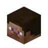 Head at death