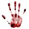 BloodFX