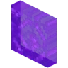 StopNetherTrap