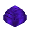DragonEgg - Own and fly a dragon