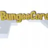 BungeeStaffSlapped