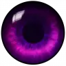 RandomTeleport