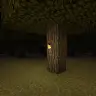 Better Torches & Lanterns [WorldGuard support]