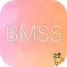 BlueMapSkinSupport