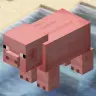 Border SMP Plugin
