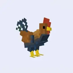 Rooster