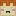 Flappyguy's Blocky Pets