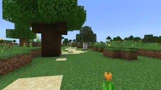 Bedrock Earth Map 1-3,000 No Feature